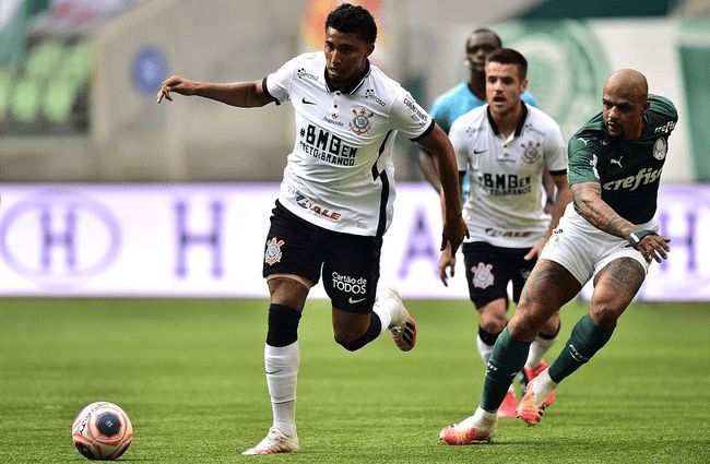 围网包围 围网包围