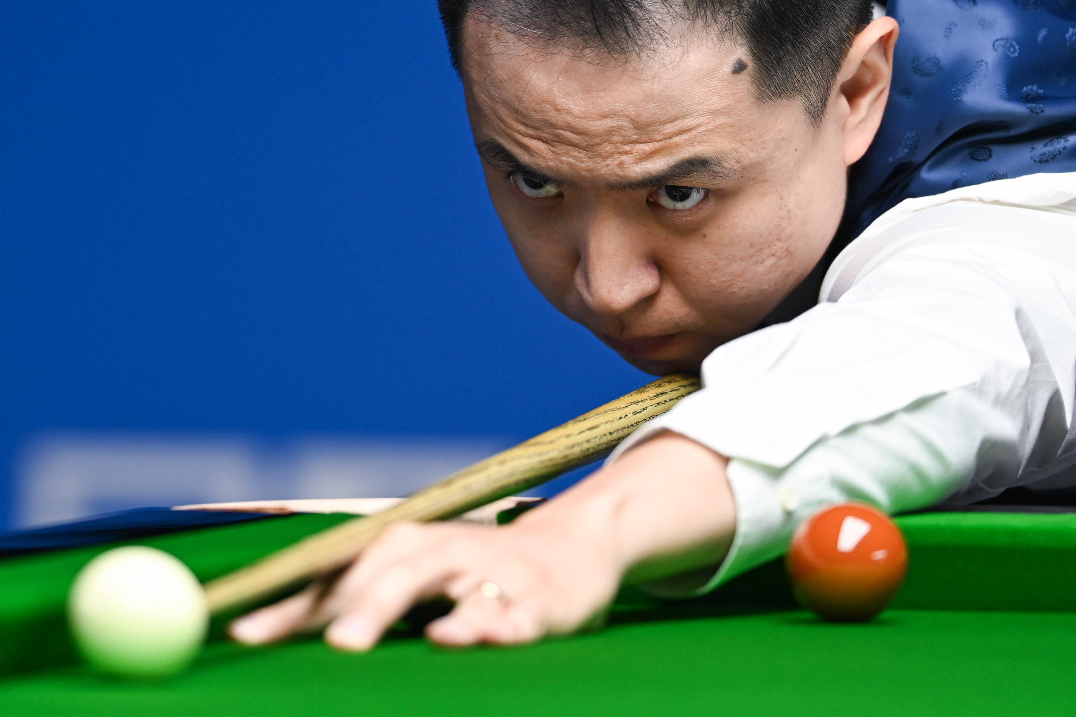 的表现赢得 的表现赢得