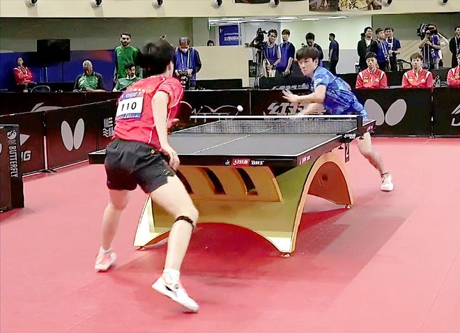 个领域都展 个领域都展